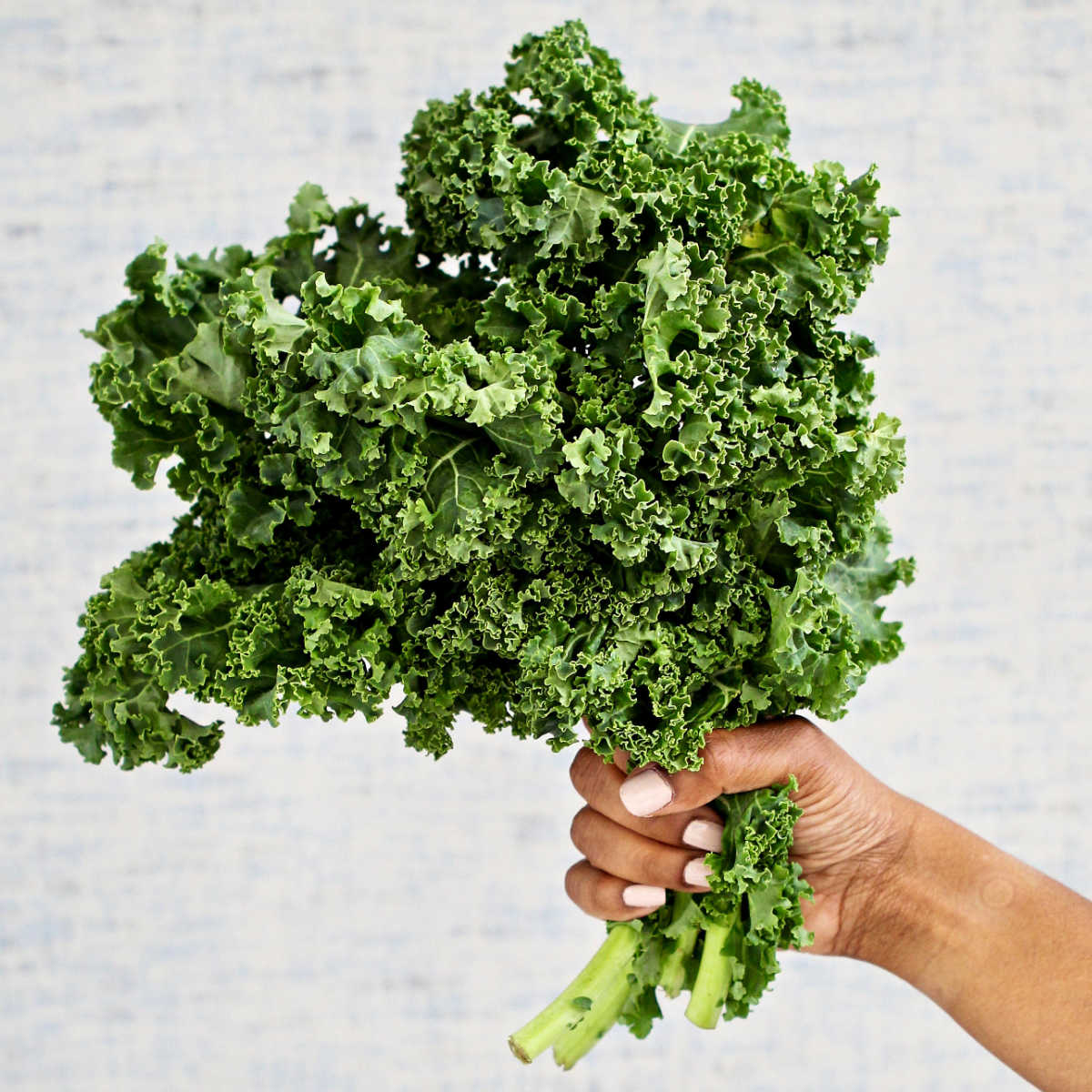 A bunch of curly kale.