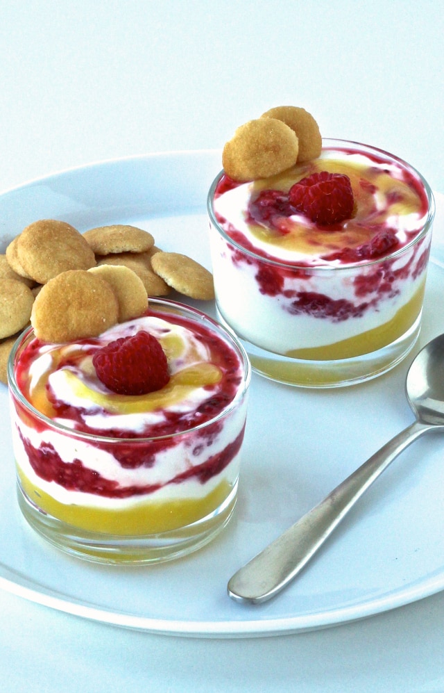Lemon Raspberry Chia Yogurt Fool | The Foodie Physician #stonyfieldblogger #prAnagiveaway #thefoodiephysician