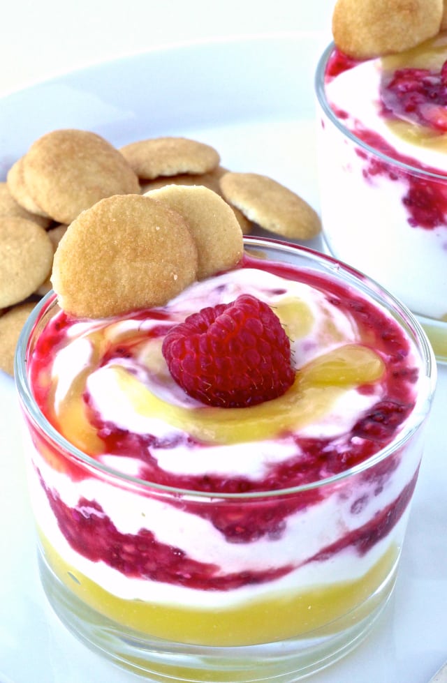 Lemon Raspberry Chia Yogurt Fool | The Foodie Physician #stonyfieldblogger #prAnagiveaway #thefoodiephysician