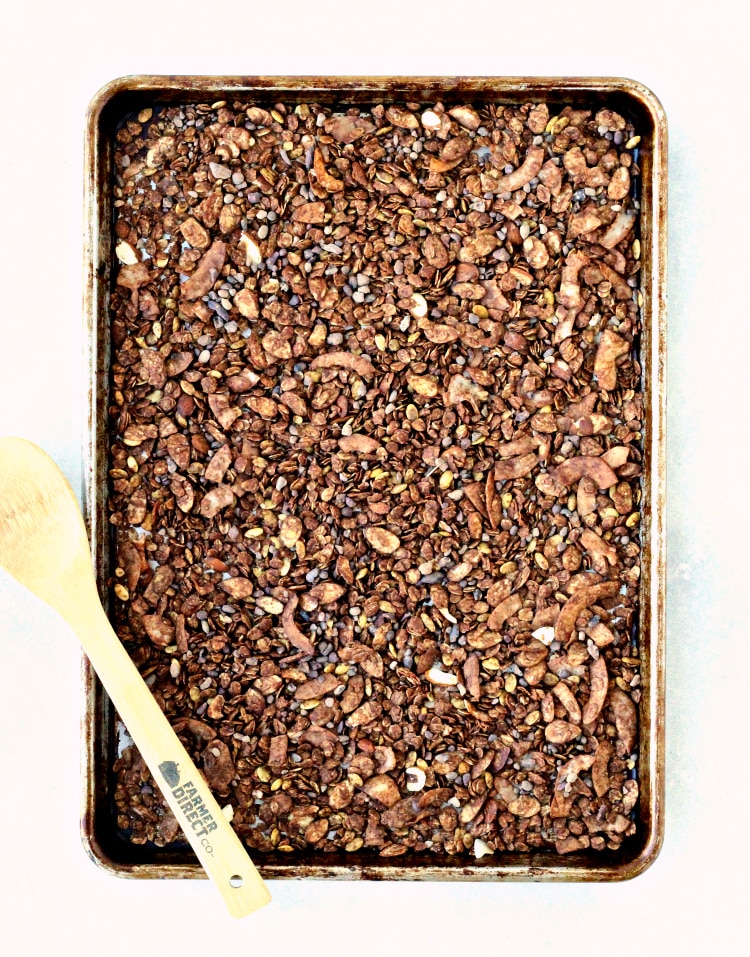 Chocolate Coconut Almond Granola | @foodiephysician