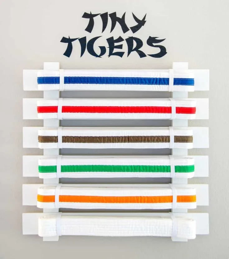 Image for Martial Arts Belt Display
