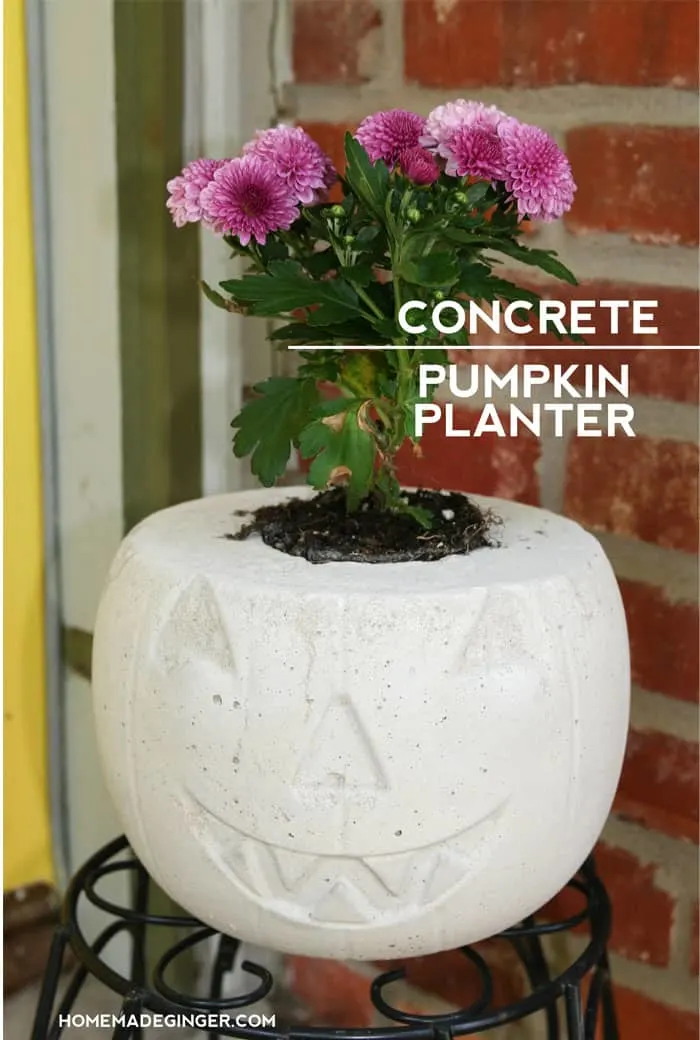 Image for Concrete Pumpkin Planter