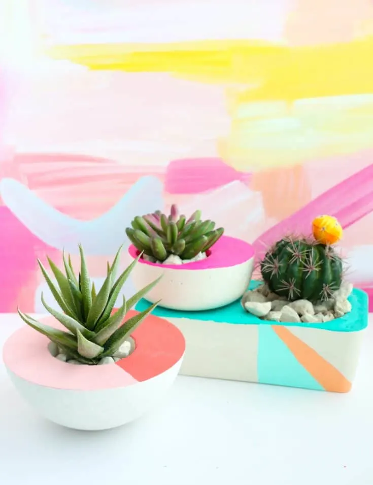 Image for DIY Asymmetrical Concrete Planters