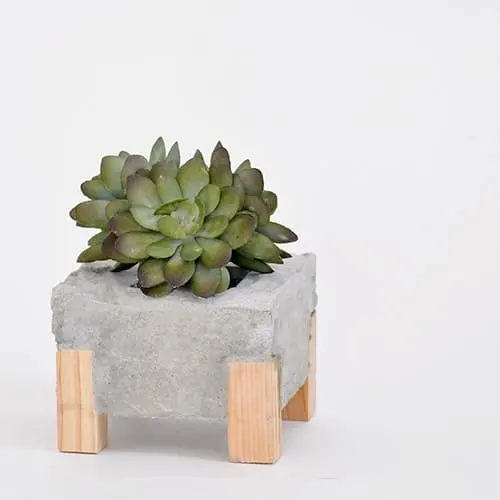 Image for DIY Concrete Planter With Wood Feet