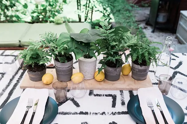 Image for DIY Concrete Pots