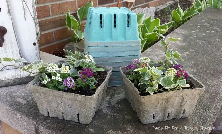 DIY concrete planters made from berry boxes