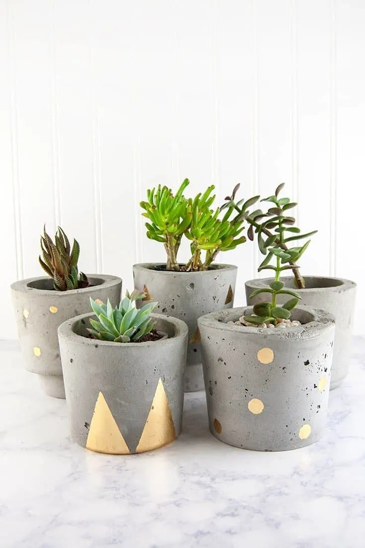 Image for Concrete and Gold DIY Plant Pots