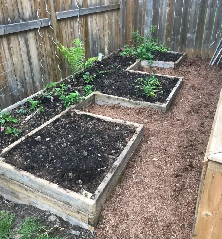 Image for DIY Raised Garden Bed