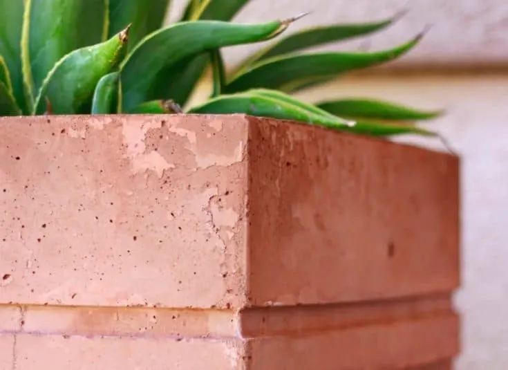 Image for How to Make a Tall Concrete Planter