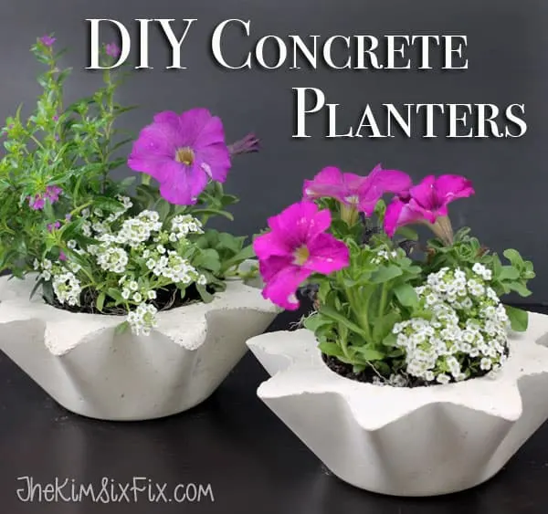 Image for DIY Scalloped Concrete Planters