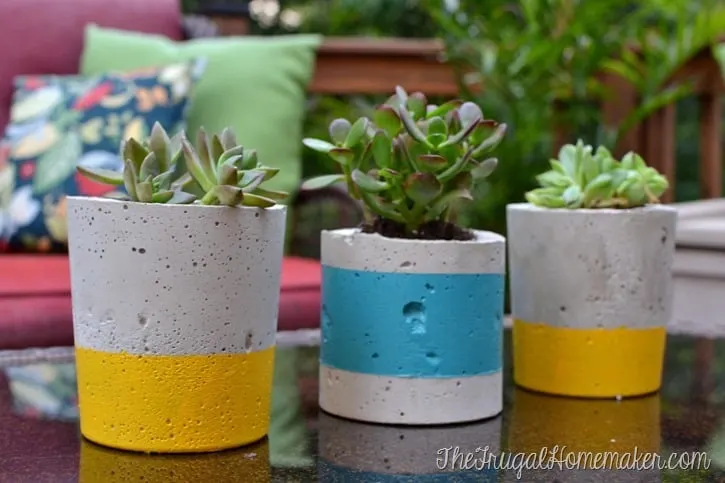 Image for DIY Painted Concrete Planters
