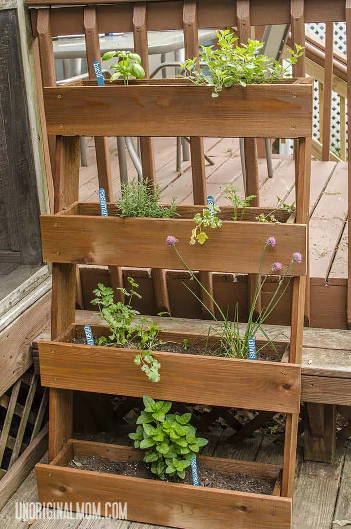 Image for DIY Window Box Herb Garden