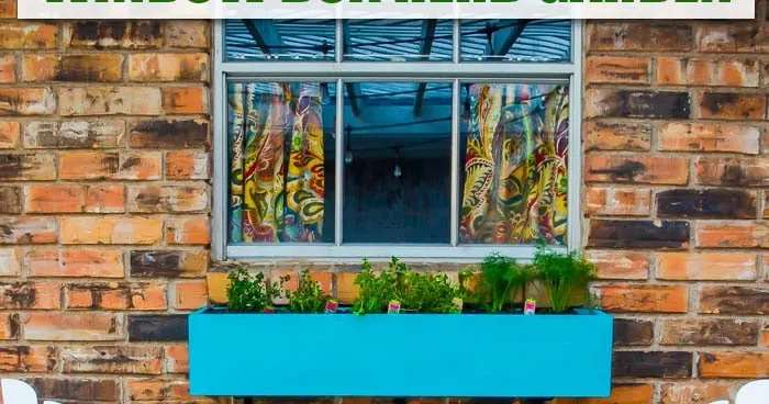 Image for DIY Window Box for Herbs