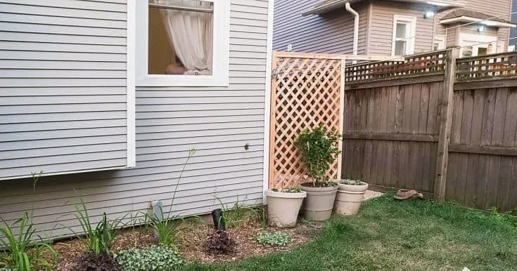 Image for DIY Trellis Screen To Hide Eyesores