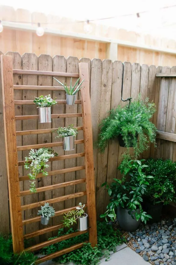 Image for DIY Outdoor Succulent Wall Accent