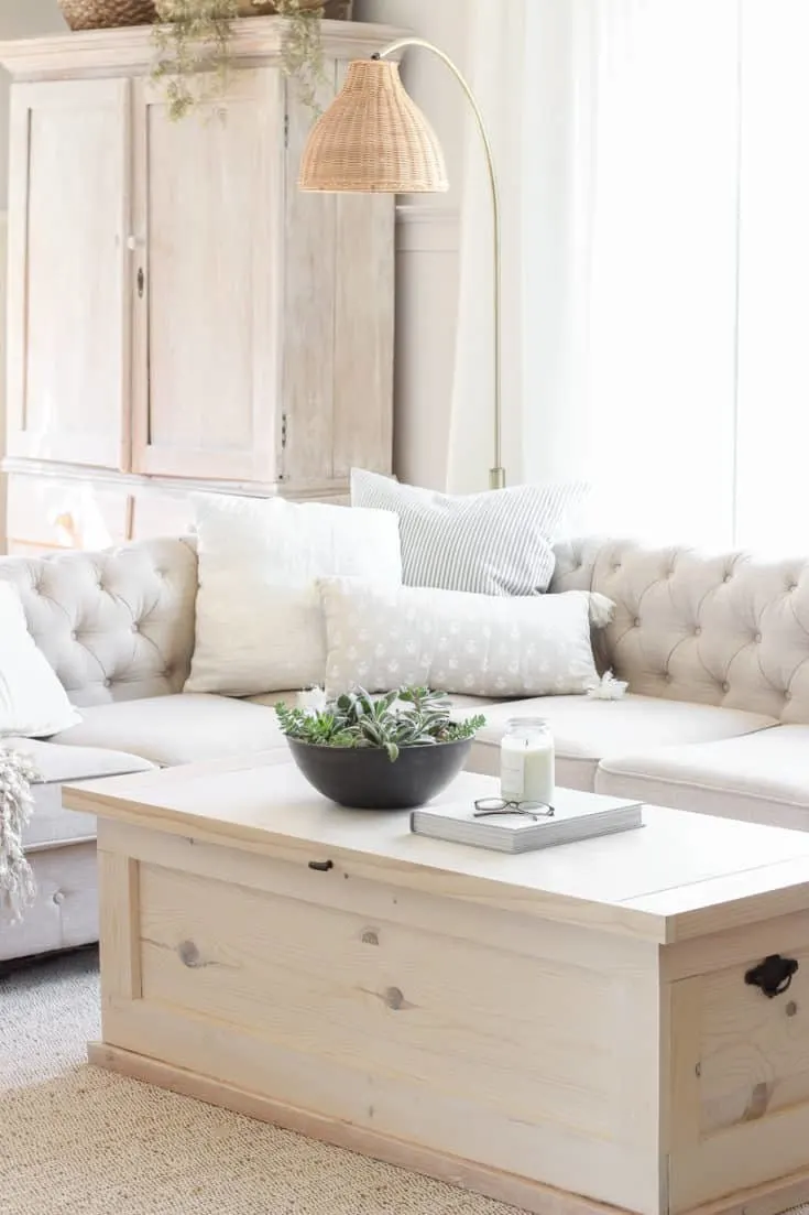Image for DIY Storage Trunk