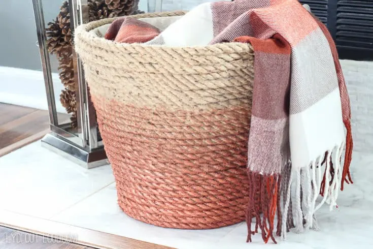 Image for DIY Metallic Rope Basket