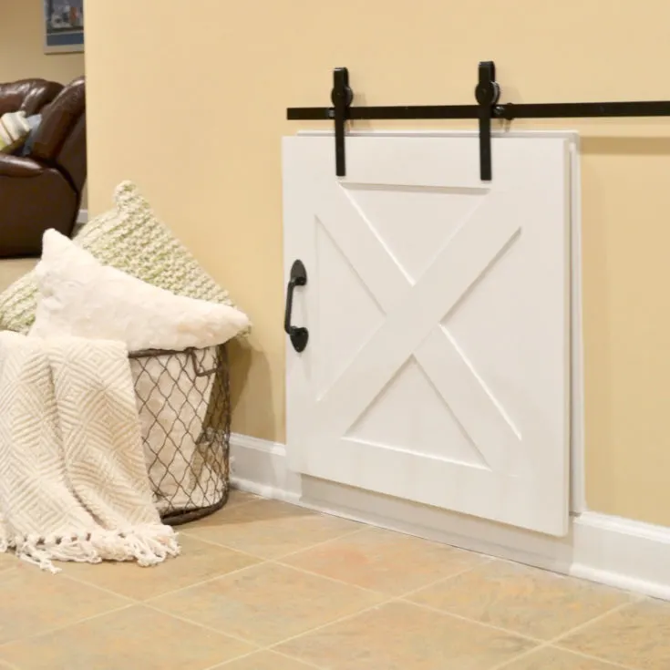Image for Crawl Space Barn Door