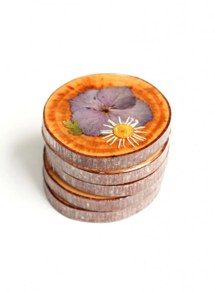 dried flower DIY coasters