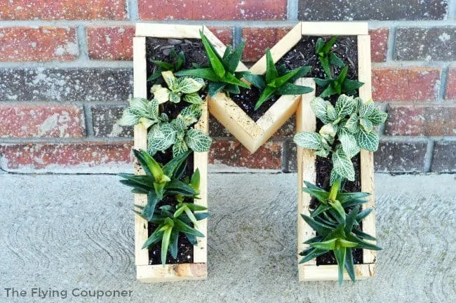 Image for DIY Monogram Succulent Planter