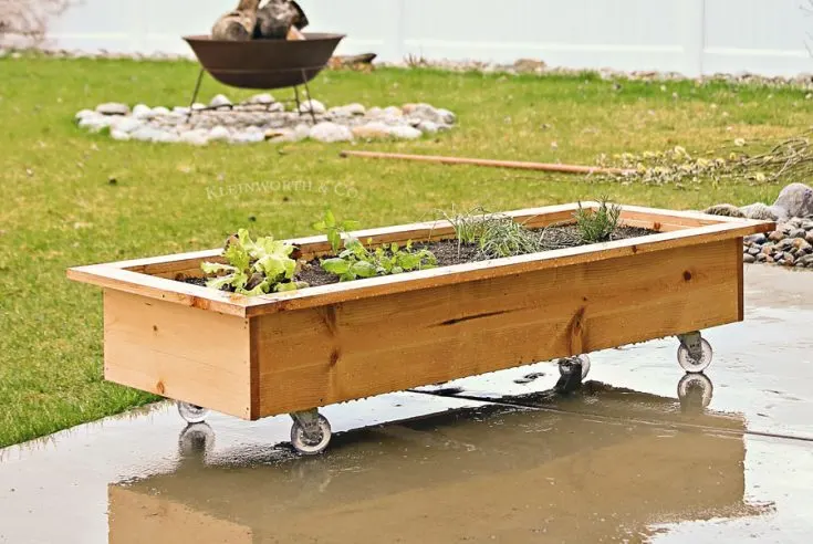 Image for DIY Rolling Planter Box