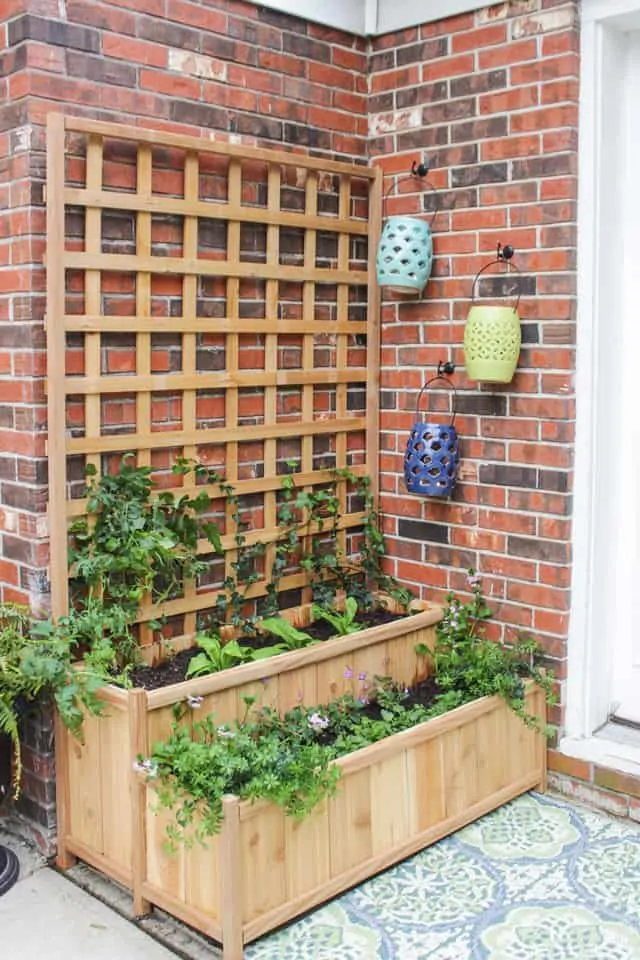 Image for Tiered Planter with Trellis
