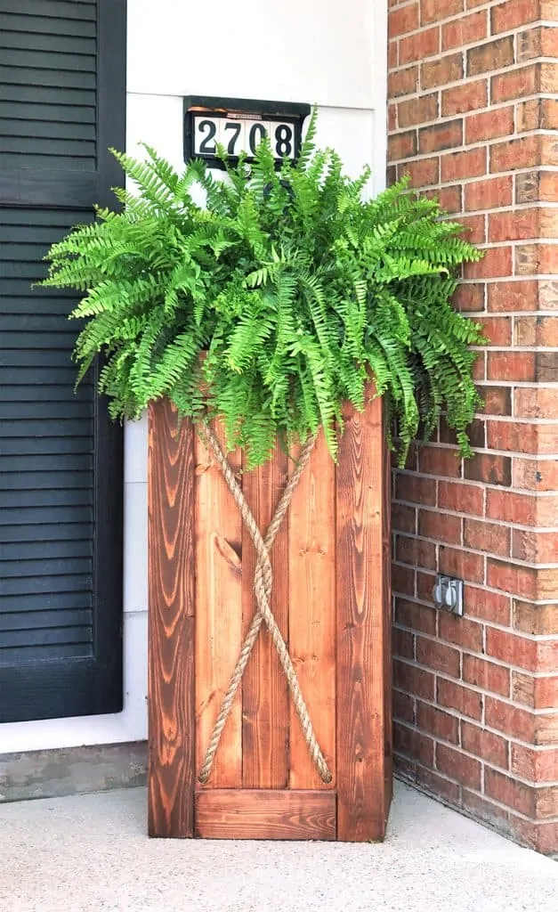 Image for DIY Planter with Rope Trim