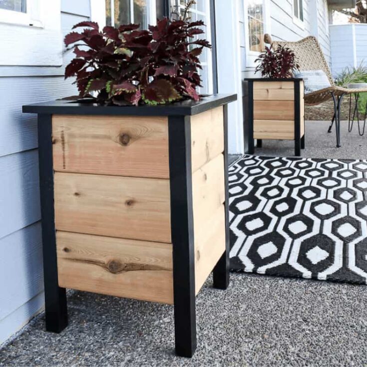 black and natural wood planter box