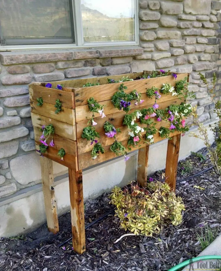 Image for Pallet Planter Box For Cascading Flowers