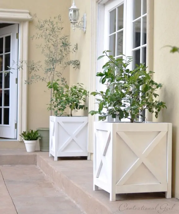 x pattern planters