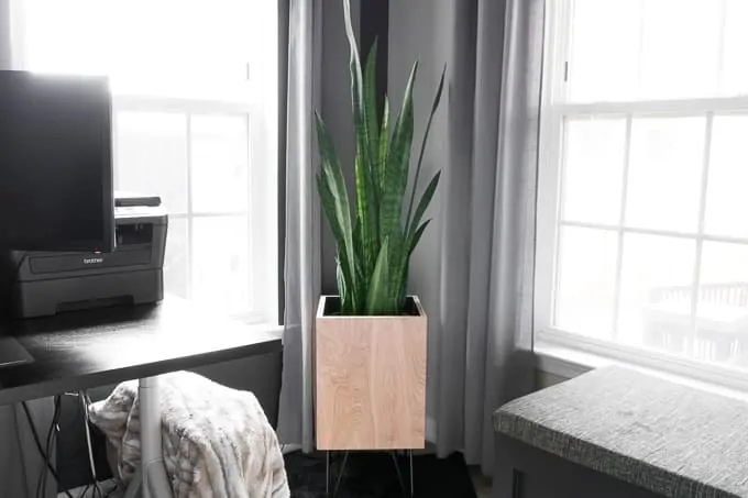 Image for DIY Modern Planter with Hairpin Legs