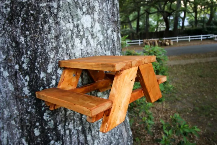 Image for How to make a squirrel picnic table