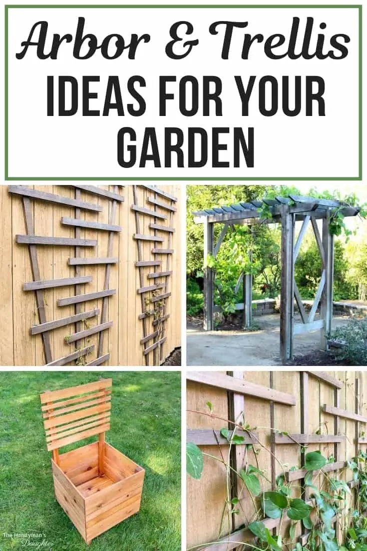 arbor and trellis ideas for your garden