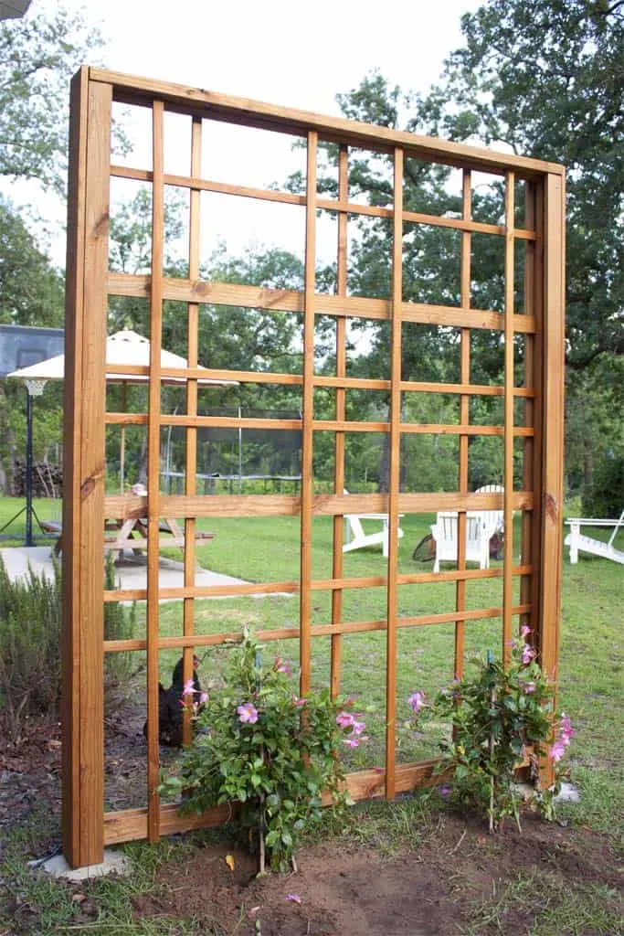 Image for Modern DIY Garden Trellis