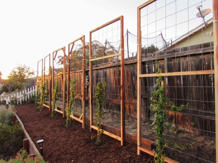 Image for Wood and Wire Trellis