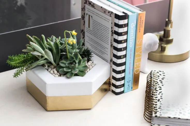 Image for Scrap Wood Hexagon Planter