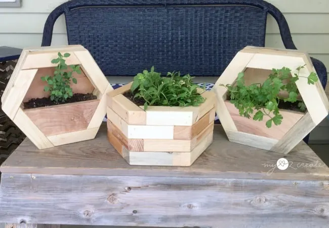 Image for DIY Hexagon Planters