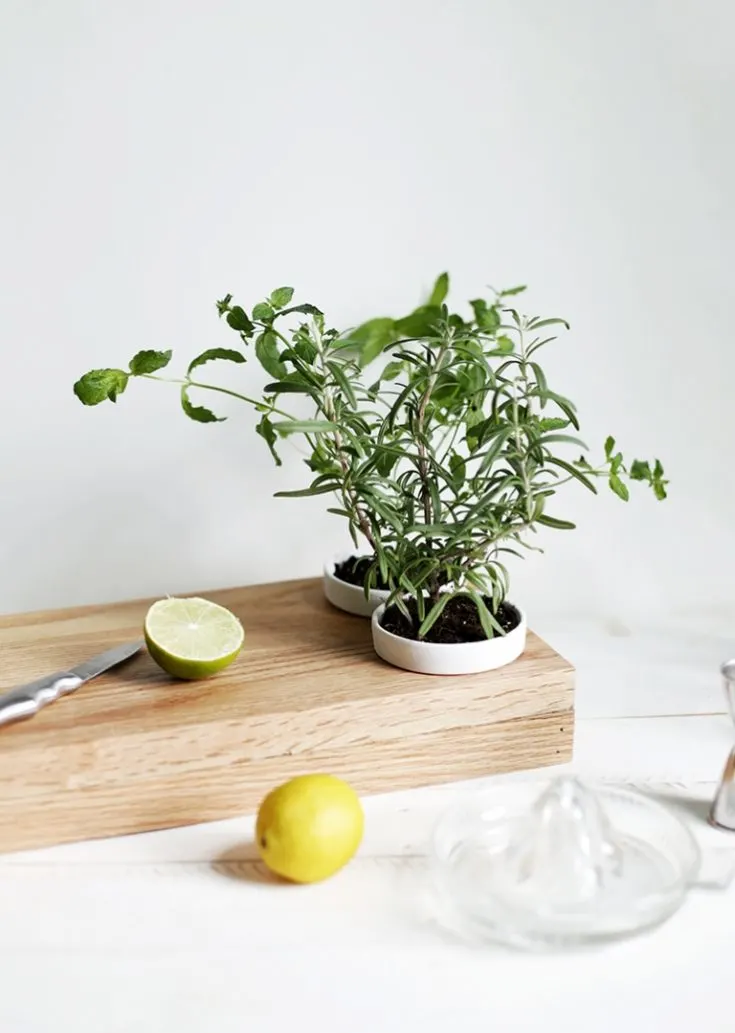 Image for DIY Herb Planter Cutting Board