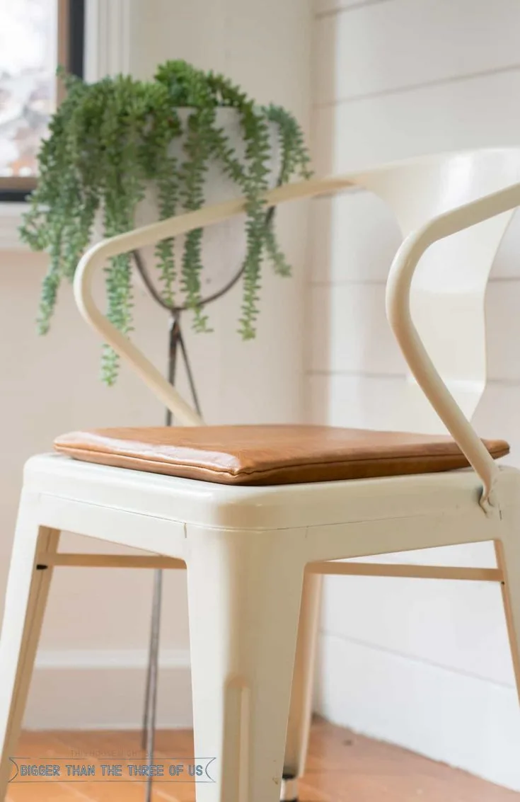 Image for Leather Chair Cushion