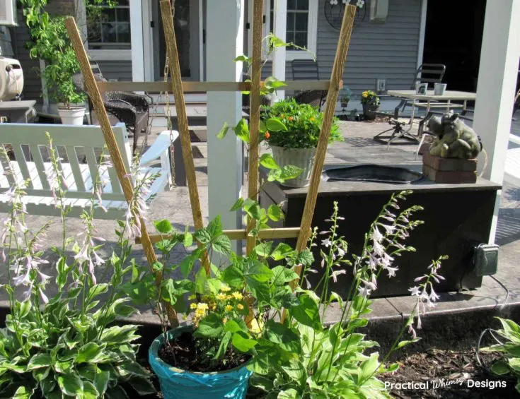 Image for Garden Trellis