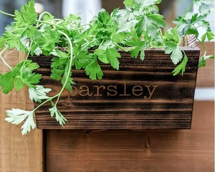 Image for Herb Planter Box