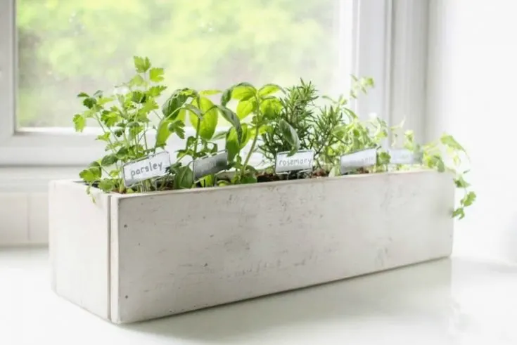 Image for Kitchen Herb Garden