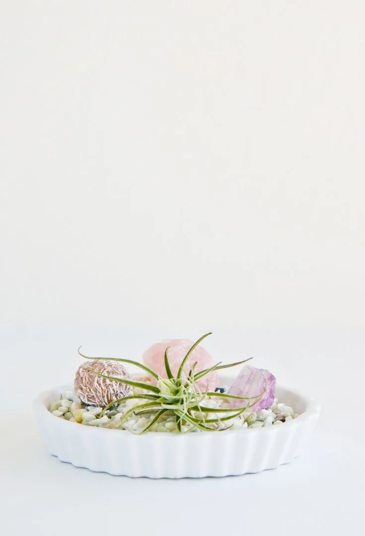 Image for Desk Rock Garden