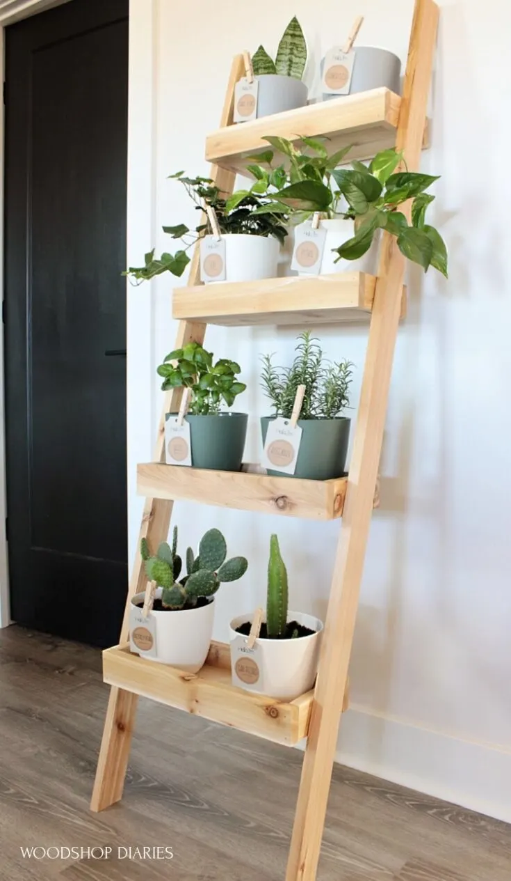 Image for DIY Plant Ladder Stand
