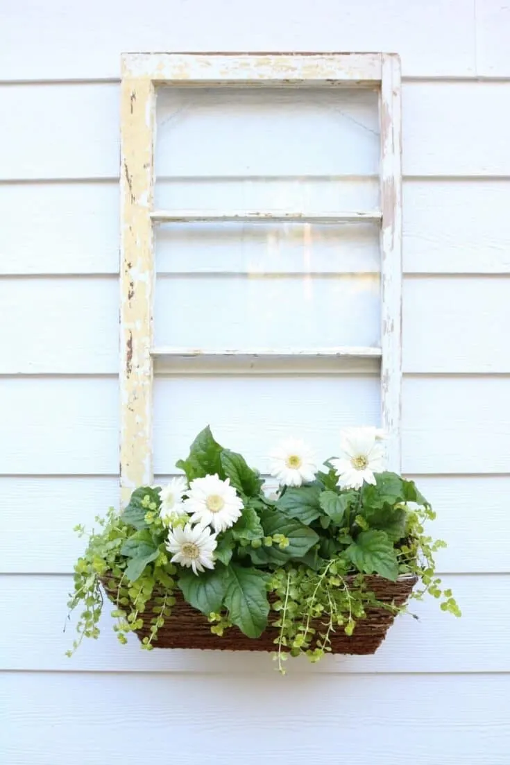 Image for Repurposed Window, Window Box