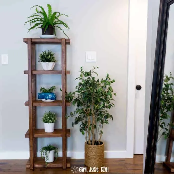 Image for DIY 2x4 Plant Stand 