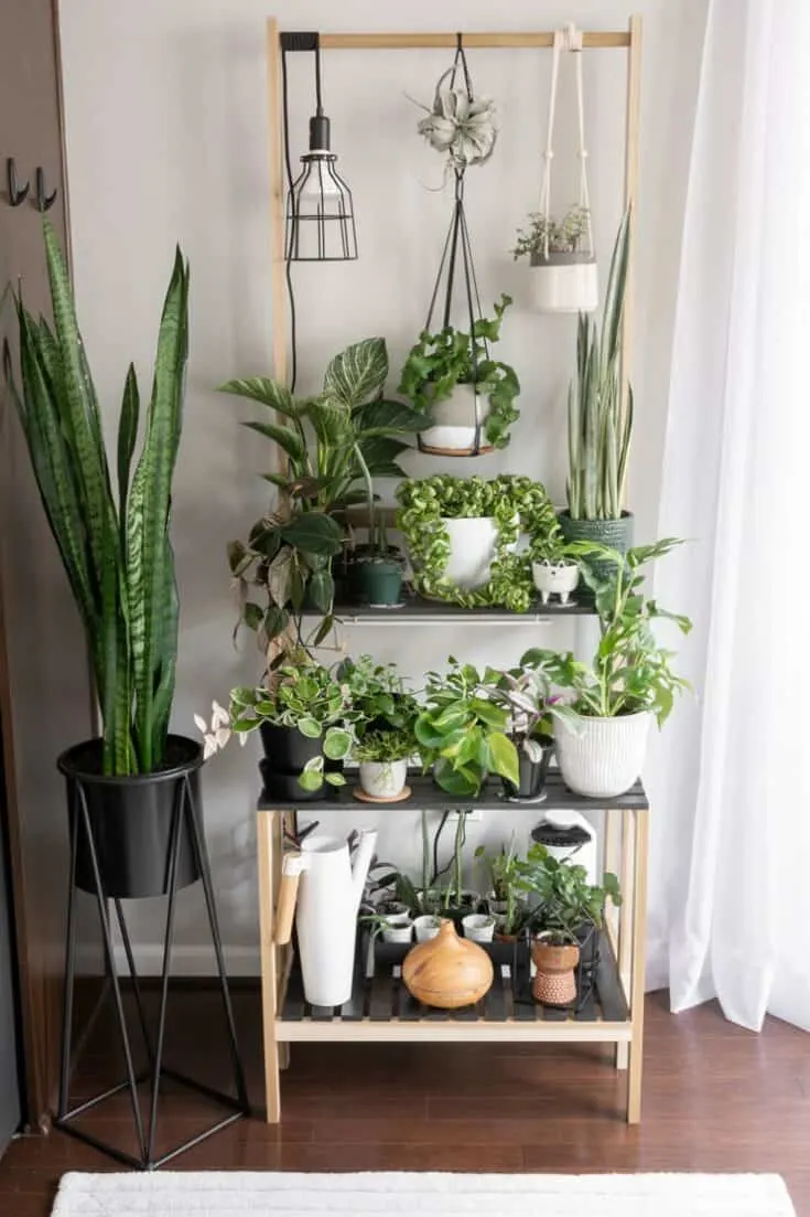 Image for Tiered Plant Stand