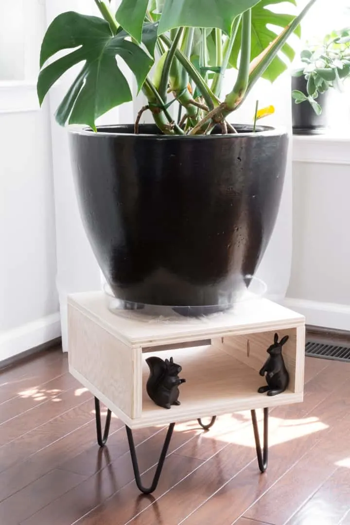 Image for DIY Plant Stand Box