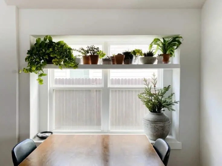 Image for  Window Plant Shelf 