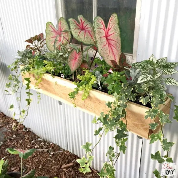 Image for Easy Cedar Window Boxes